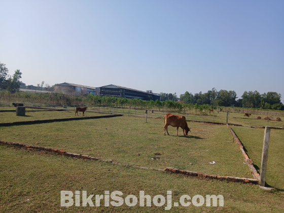 আবাসন জমি ৩ কাঠা